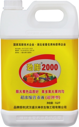 勁膨2000.jpg 勁膨2000.jpg